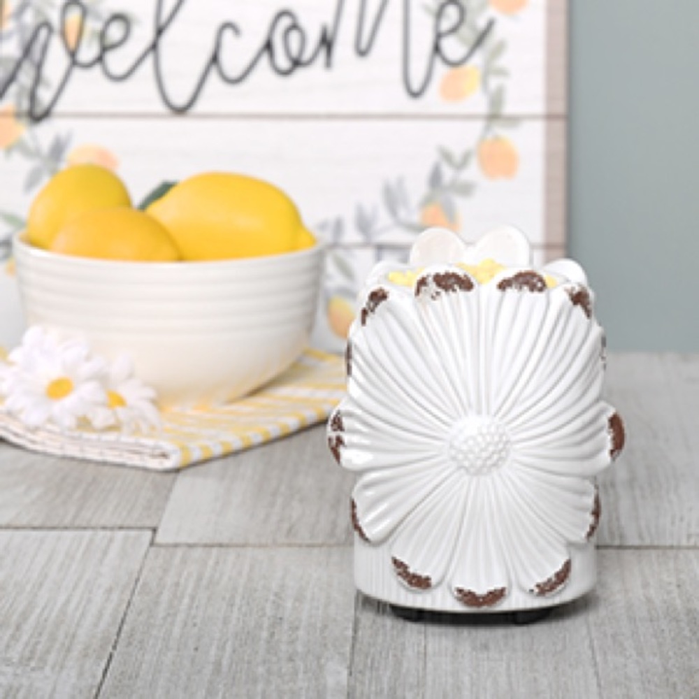Darling Daisy Simmer Pot